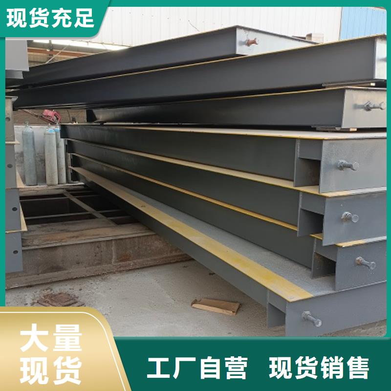 电子地磅,【二手衡器】拥有多家成功案例