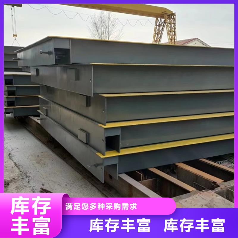 电子地磅电子磅款式新颖
