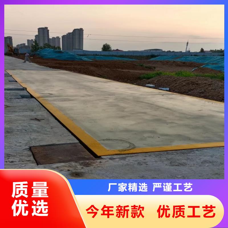 電子地磅- 洗輪機(jī)源廠定制