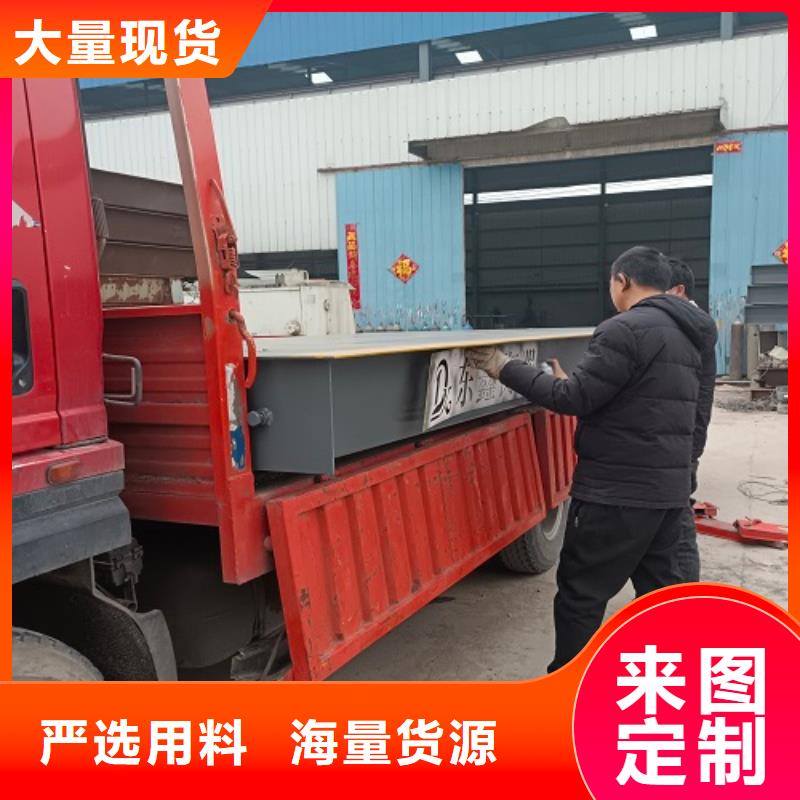 電子地磅- 洗輪機(jī)源廠定制