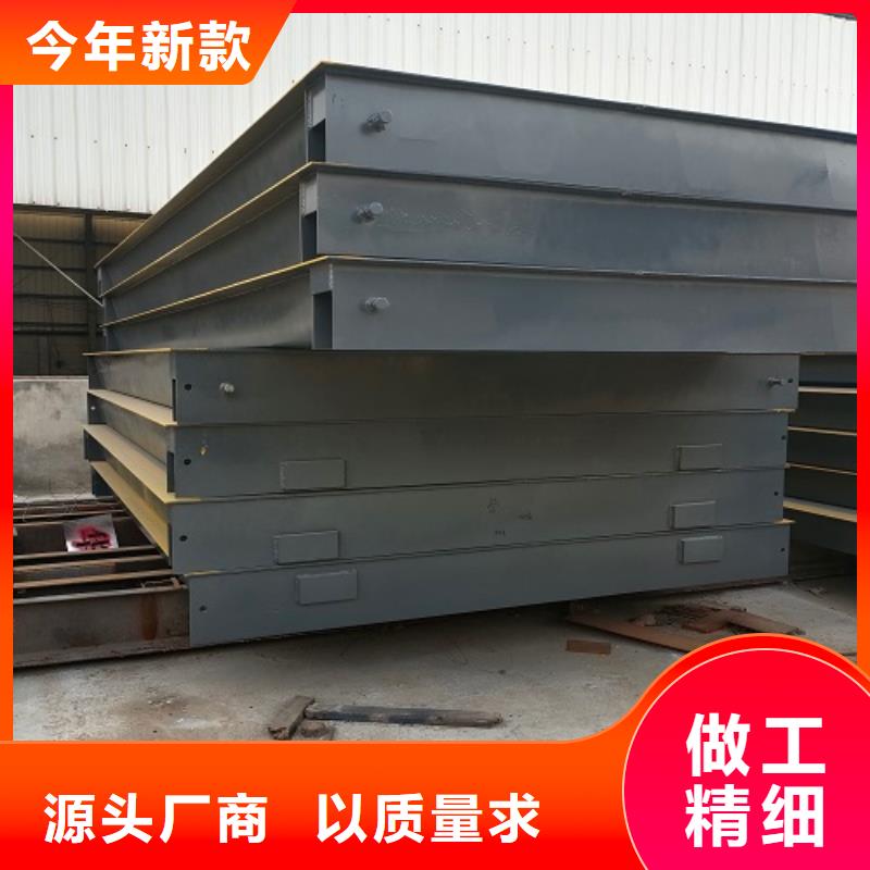 电子地磅,吊钩秤仪表设备齐全支持定制
