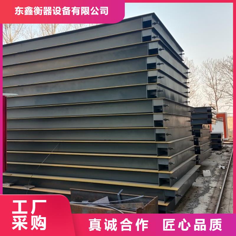 電子地磅-電子秤優(yōu)選廠商