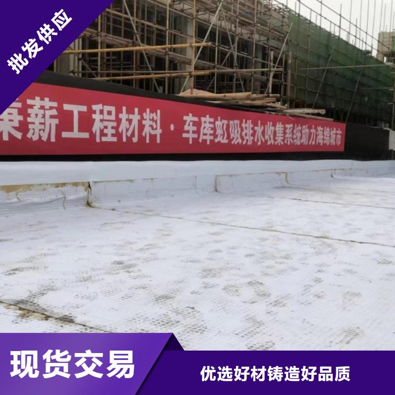 排水板塑料排水板海量現(xiàn)貨