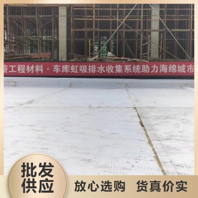 凹凸型塑料排蓄水板-免費(fèi)寄樣