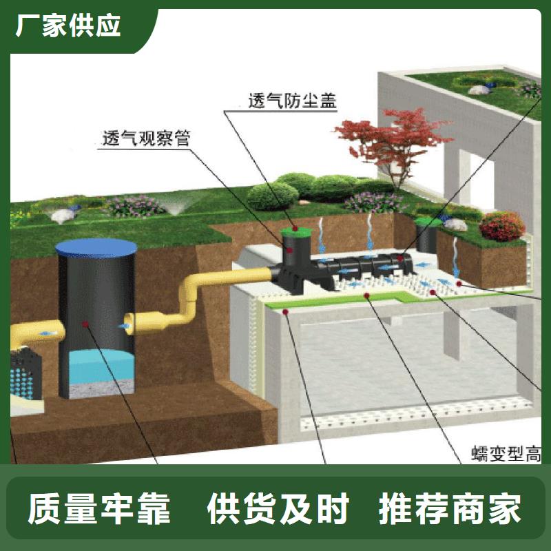 排水板-蓄水板實(shí)力商家供貨穩(wěn)定