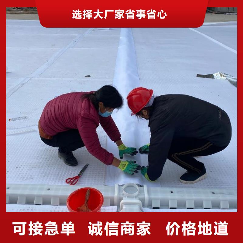 排水板【塑料排水板】實力雄厚品質(zhì)保障