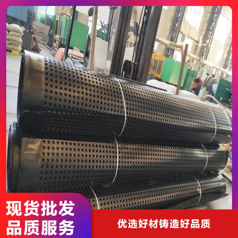 排水板土工格栅现货