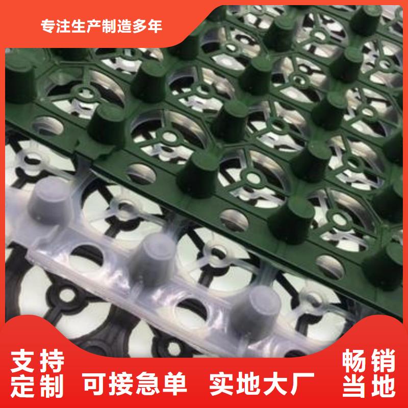 排水板-蓄水板實(shí)力商家供貨穩(wěn)定