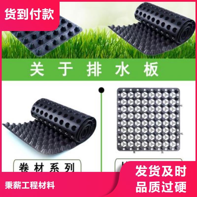 排水板-蓄水板實(shí)力商家供貨穩(wěn)定
