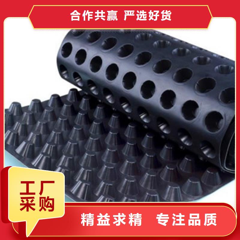 排水板防水毯好品质选我们