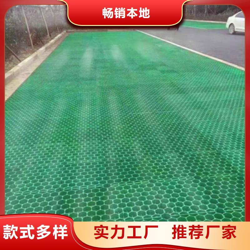 排水板三維植被網(wǎng)支持非標(biāo)定制