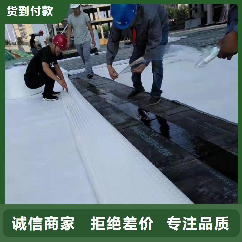 排水板塑料排水板品质保障售后无忧
