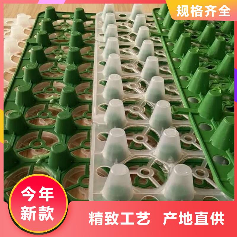 排水板塑料排水板一個(gè)起售