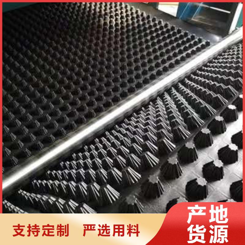 排水板三維植被網(wǎng)支持非標(biāo)定制
