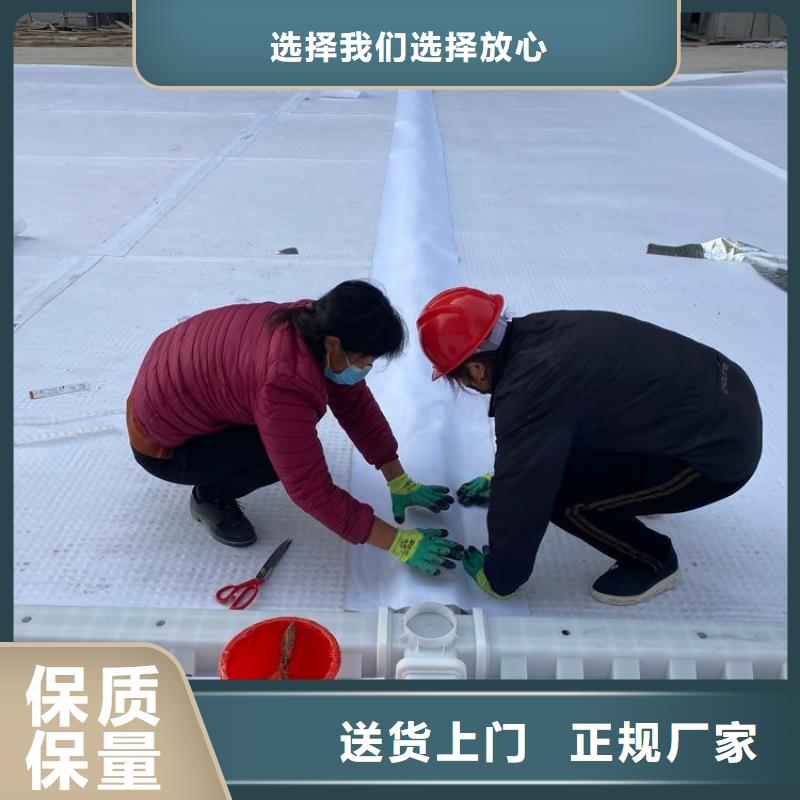 排水板_复合土工膜多家仓库发货