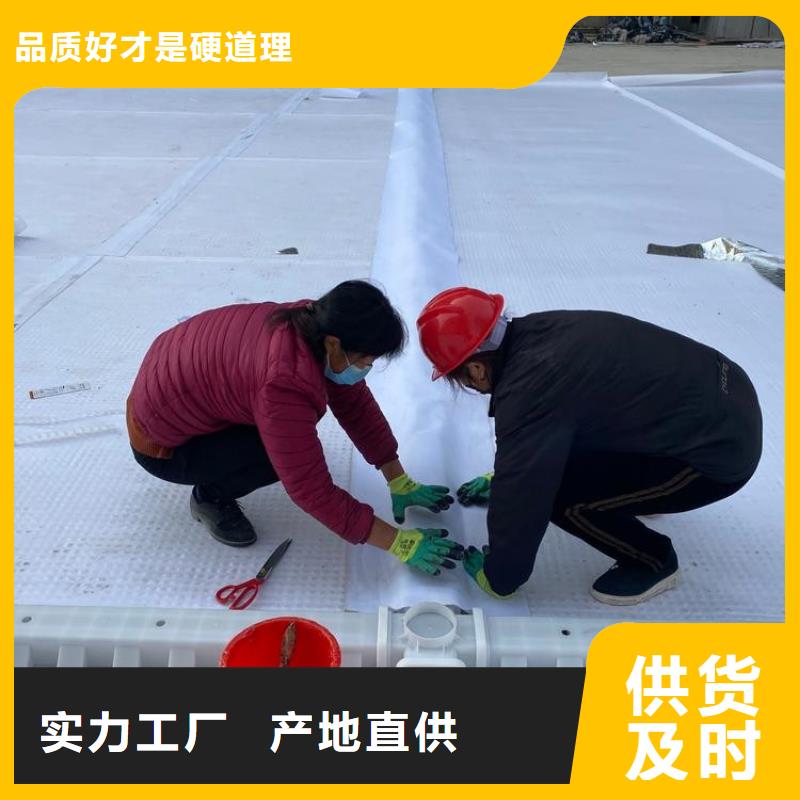  排水板源头实体厂商