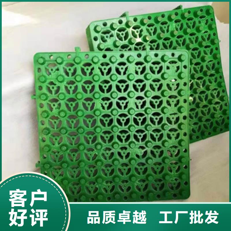 排水板植草格厂家供应