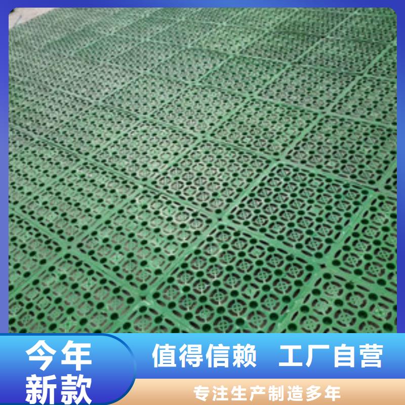 排水板三維植被網(wǎng)質(zhì)量優(yōu)價格低
