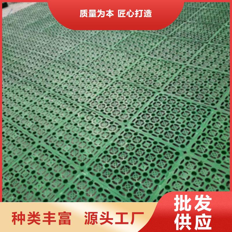 排水板三維植被網(wǎng)優(yōu)選貨源
