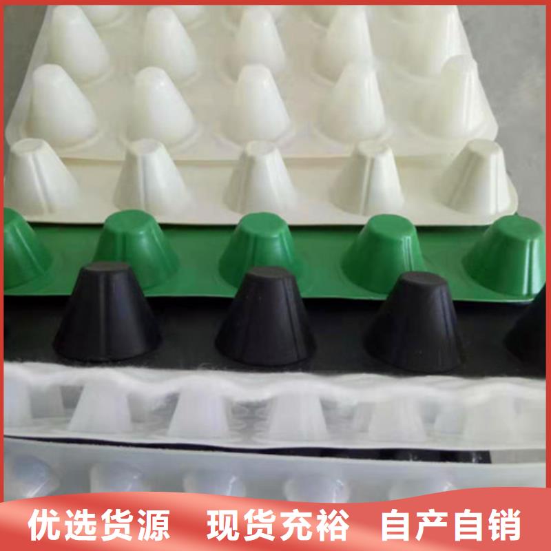 排水板_三维植被网现货直发