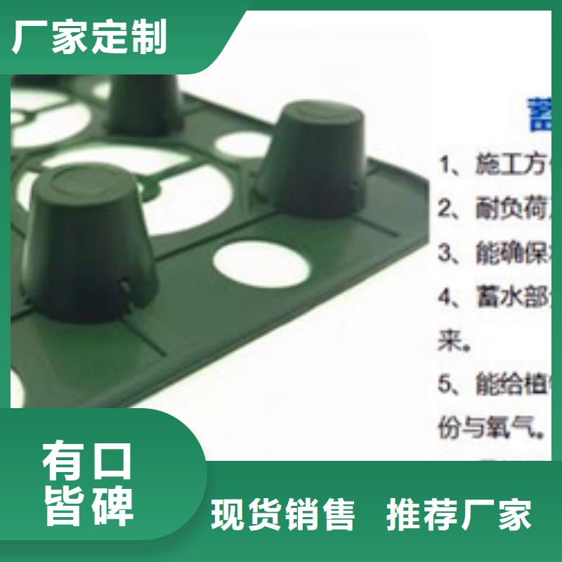 排水板 土工膜品質(zhì)有保障