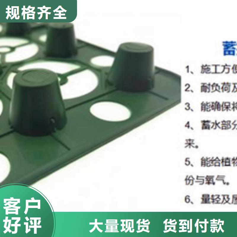 排水板三維植被網(wǎng)質(zhì)量優(yōu)價格低