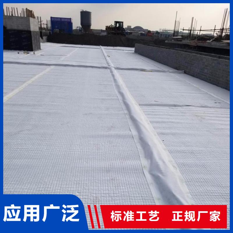排水板三維植被網(wǎng)質(zhì)量優(yōu)價格低