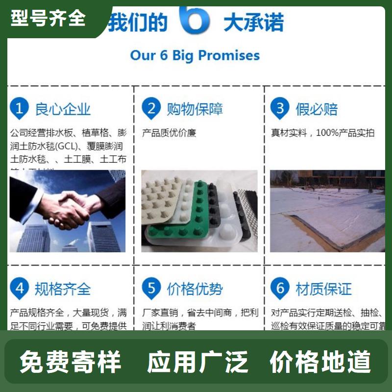 排水板滤水板购买的是放心