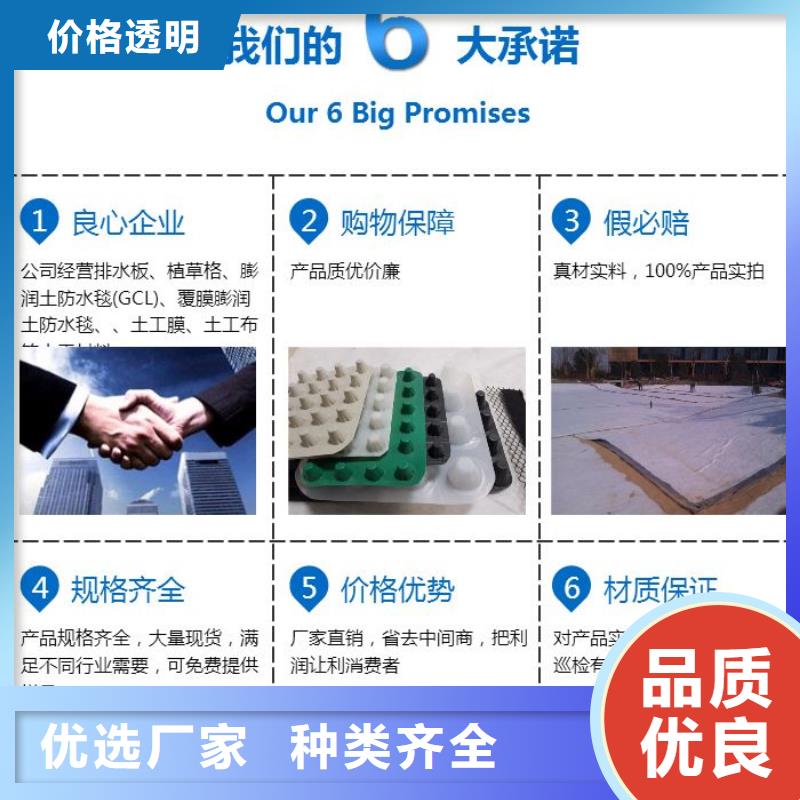 排水板塑料排水板海量现货