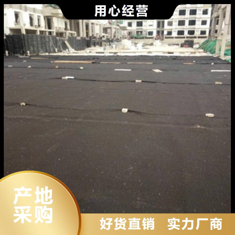 排水板蓄水板設(shè)計(jì)合理