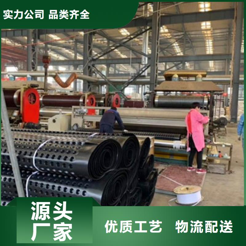 排水板植草格質(zhì)優(yōu)價廉