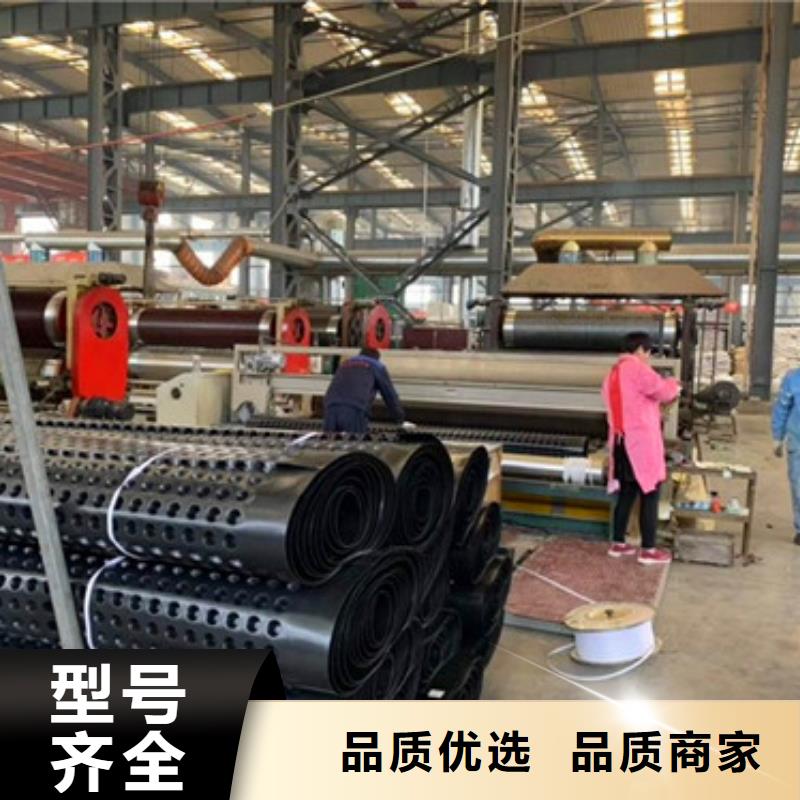 凹凸型塑料排蓄水板-免費(fèi)寄樣