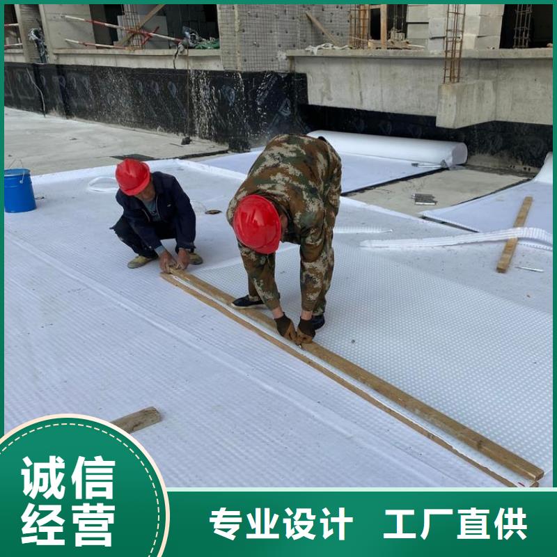 排水板-蓄水板實(shí)力商家供貨穩(wěn)定