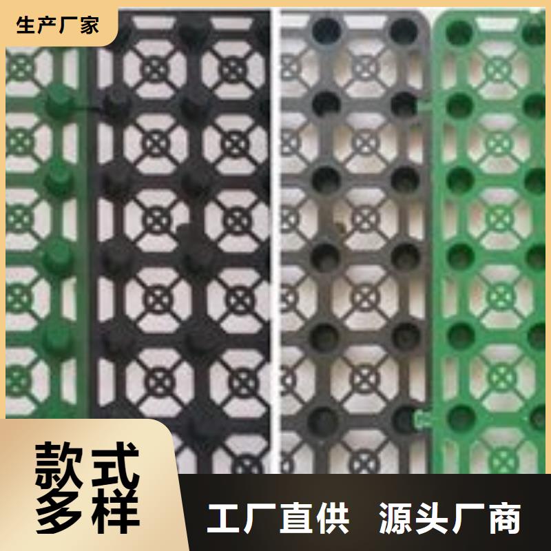 排水板三維植被網(wǎng)優(yōu)選貨源