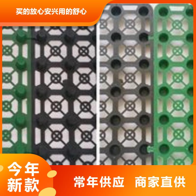 排水板 蓄水板服務(wù)至上
