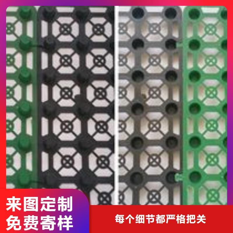 【排水板】三維植被網(wǎng)現(xiàn)貨直供