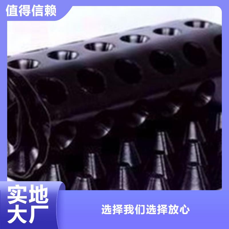排水板復(fù)合土工膜暢銷本地
