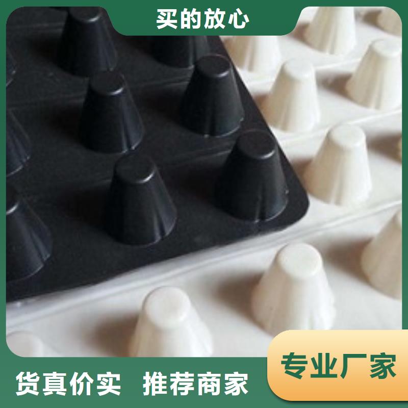 排水板濾水板細(xì)節(jié)展示