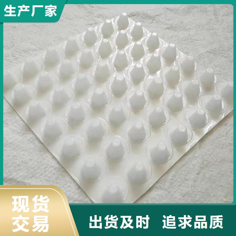 排水板三維植被網(wǎng)優(yōu)選貨源