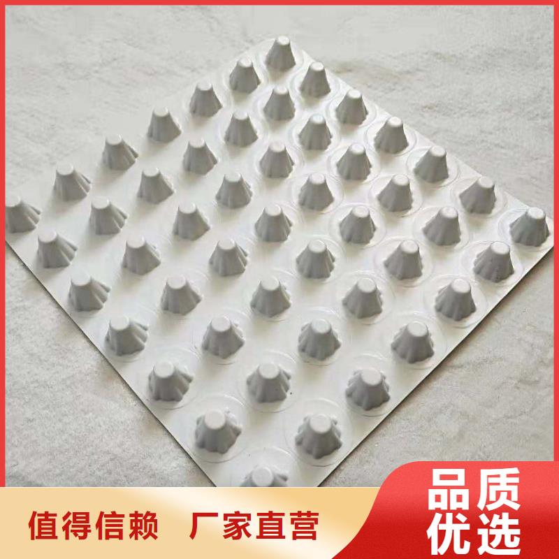 【排水板】三維植被網(wǎng)現(xiàn)貨直供