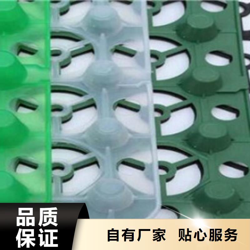 排水板塑料排水板一個(gè)起售