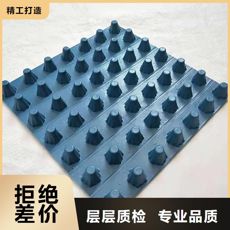 排水板三維植被網(wǎng)優(yōu)選貨源