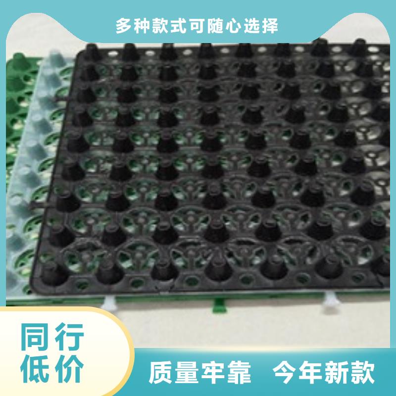 排水板三維植被網(wǎng)優(yōu)選貨源