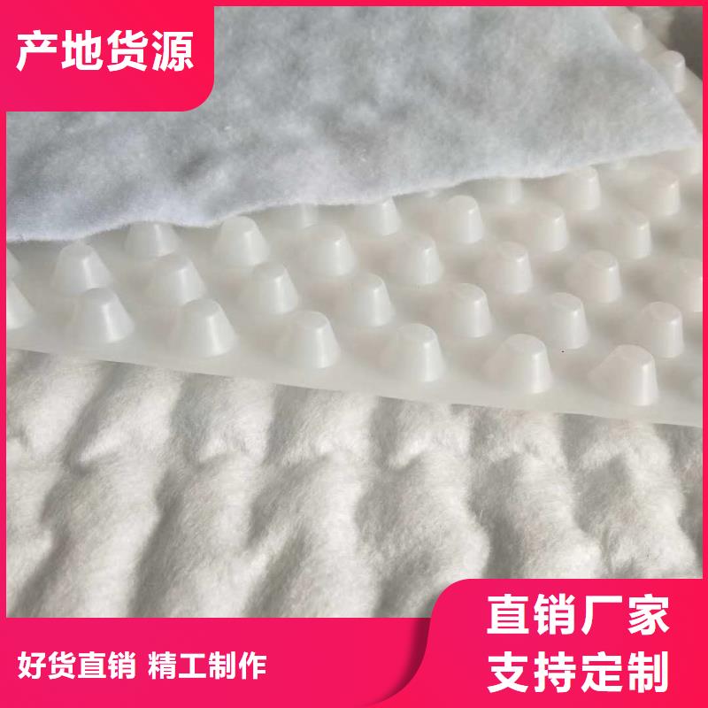 排水板三維植被網(wǎng)支持非標(biāo)定制