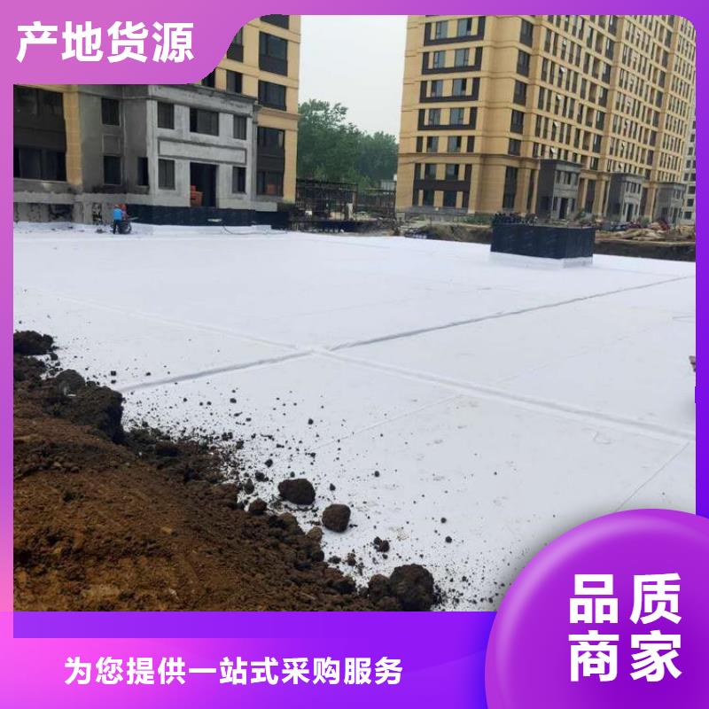排水板蓄水板價(jià)格實(shí)在