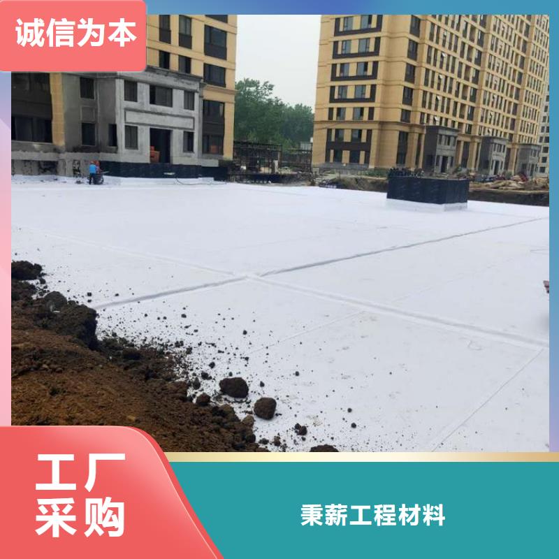 排水板-蓄水板實(shí)力商家供貨穩(wěn)定