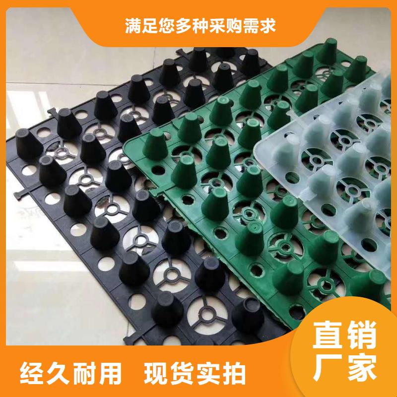 排水板三維植被網(wǎng)支持非標(biāo)定制