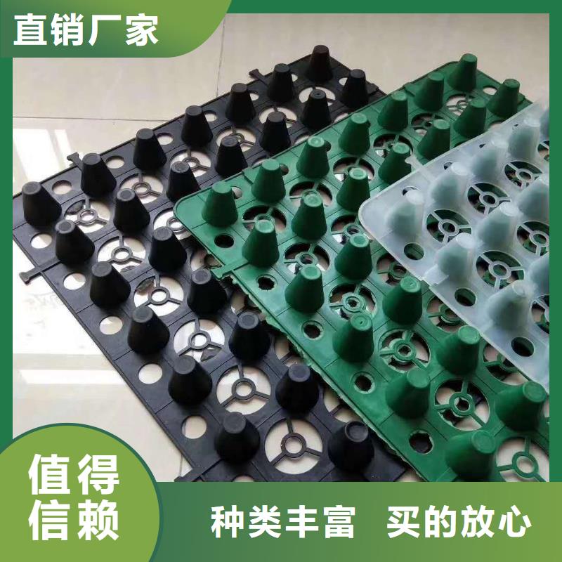排水板-蓄水板實(shí)力商家供貨穩(wěn)定