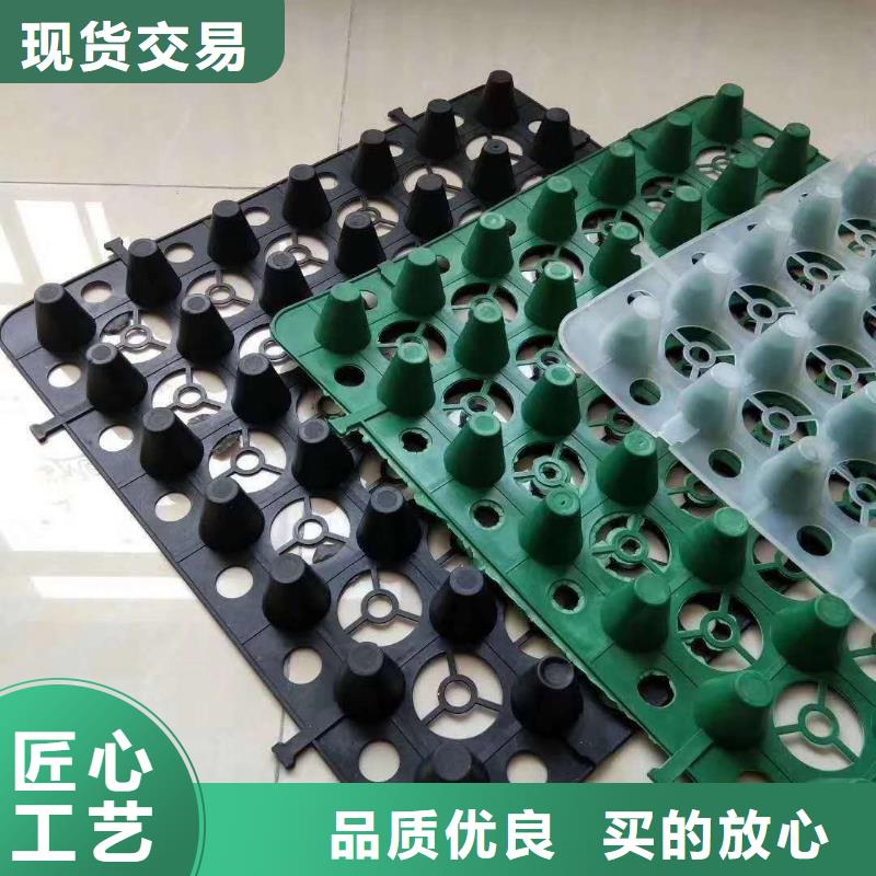 排水板三維植被網(wǎng)質(zhì)量優(yōu)價格低