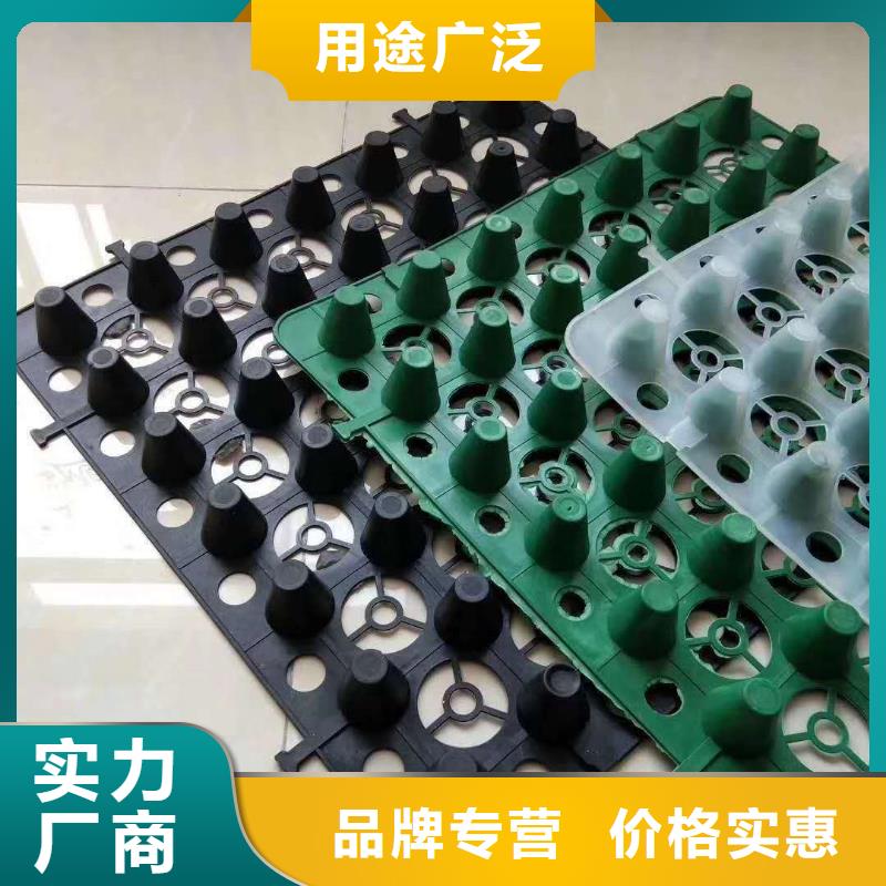 排水板蓄水板價(jià)格實(shí)在